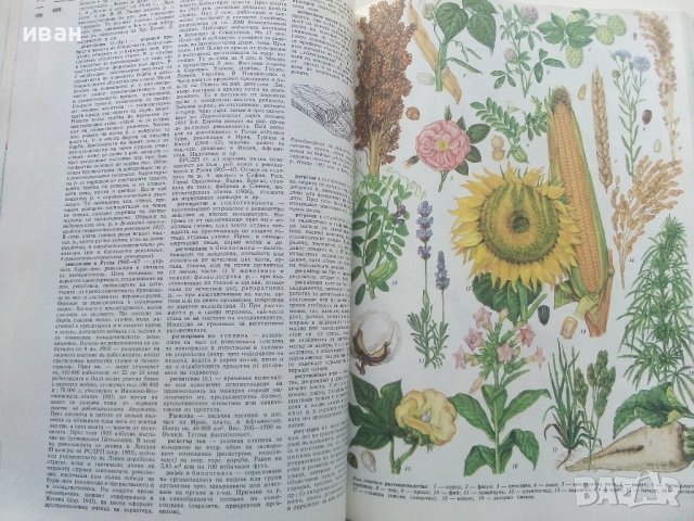 Българска Енциклопедия  А - Я  - 1974г. , снимка 5 - Енциклопедии, справочници - 39558682