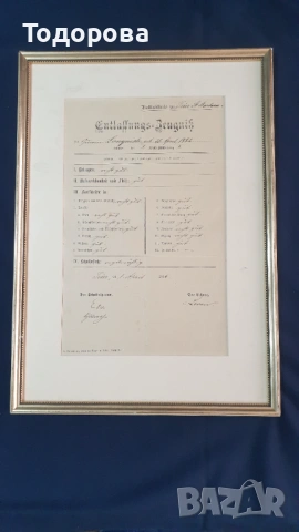 Стара немска диплома от 1882 година