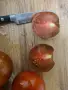 Семена от домати , снимка 6