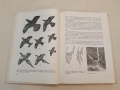 Myslivost. Státní zemědělské nakladatelství – Колектив (1966), снимка 7