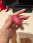 IQOS iluma - Red sunset, снимка 5