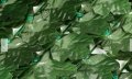 Пластмасова градинска пергола със зеленина за двор, тераса 1х2,5 м., снимка 2