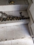 Стари чанове и звънци 18броя, снимка 5