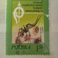 Стари Полски пощенски  марки, снимка 9 - Филателия - 41813114