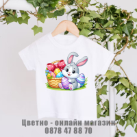 Бебешки бодита, детски тениски за Великден, снимка 3 - Детски тениски и потници - 44835892