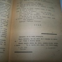 "Искам да живея" дневник на Димитър Сърмов, издание1939г., снимка 7 - Други - 41975706