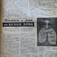 Колекция списание Здраве 1955 година , снимка 6 - Списания и комикси - 41993588