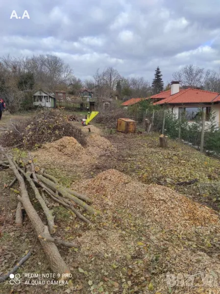 Почистане на дворове от треви храсти и др., снимка 1