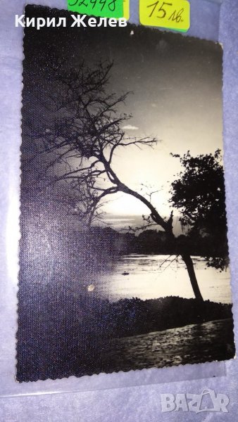 СТАРА МНОГО ЖИВОПИСНА ПОЩЕНСКА КАРТИЧКА ПОЛША ХУДОЖЕСТВЕНА ЧЕРНО-БЯЛА ФОТОГРАФИЯ ПРИРОДА 32448, снимка 1