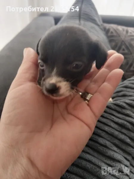 момченце, снимка 1