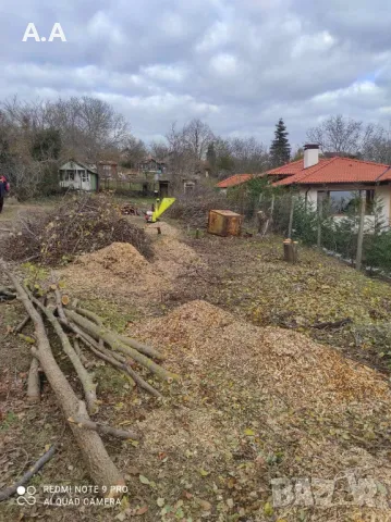 Почистане на дворове от треви храсти и др.