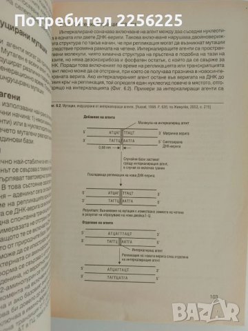 Генетика на бактериите, снимка 4 - Специализирана литература - 51165708