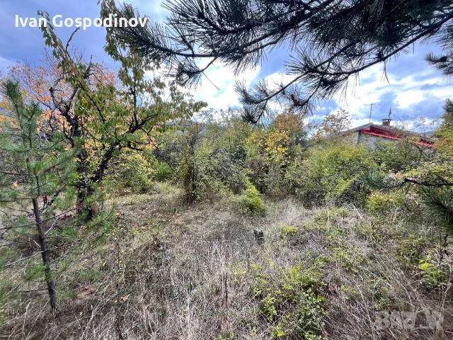 Дворно място, снимка 2 - Земеделска земя - 52100428