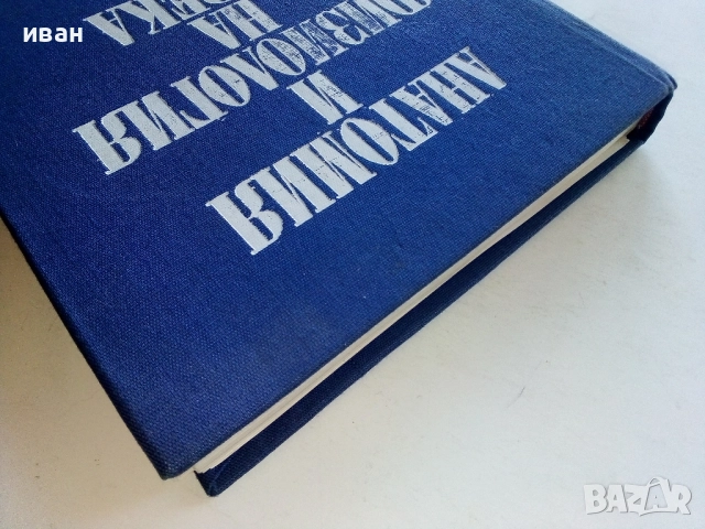 Анатомия и Физиология на Човека - Соломон Илич Галперин - 1979г., снимка 9 - Учебници, учебни тетрадки - 52804375