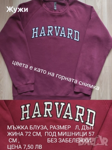 МЪЖКИ СУИЧЪРИ И БЛУЗИ РАЗМЕР Л, снимка 12 - Суичъри - 36061927