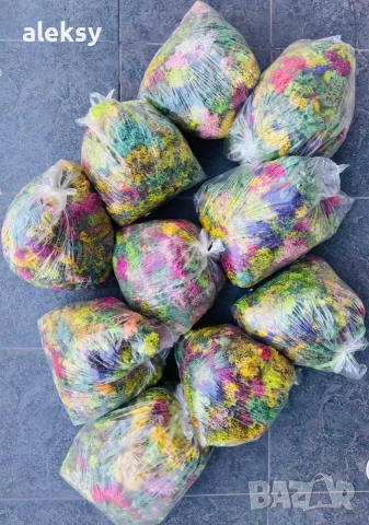 Скандинавски мъх, снимка 2 - Картини - 53252249