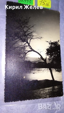 СТАРА МНОГО ЖИВОПИСНА ПОЩЕНСКА КАРТИЧКА ПОЛША ХУДОЖЕСТВЕНА ЧЕРНО-БЯЛА ФОТОГРАФИЯ ПРИРОДА 32448