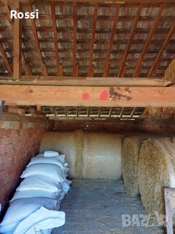 СЕЛСКИ ИМОТИ-РАНЧО/ФЕРМА, снимка 15 - Други - 53004122