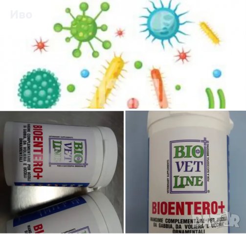 Пробиотик за птици 