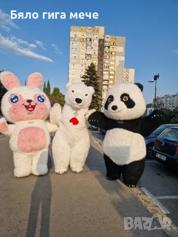 Панда , panda варна парти аниматор , снимка 3 - Детегледачки, детски центрове - 55746061