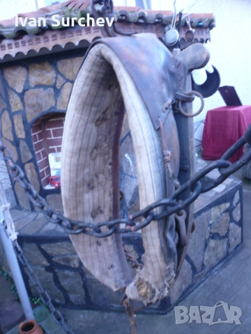 ХАМУТ ЗА КОН ОТ ПЕТДЕСТТЕ ГОДИНИ, снимка 3 - Други животни - 53256404