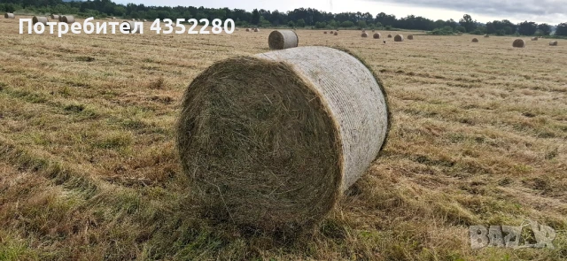 Бали ливадно сено ., снимка 5 - За селскостопански - 50734711