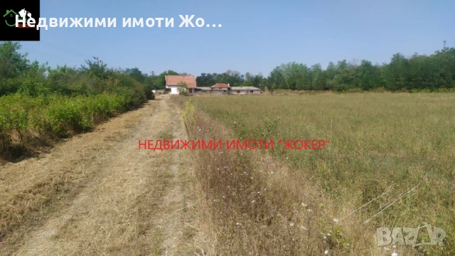 Животновъдна ферма с двуетажна къща в село Родина, снимка 2 - Къщи - 51421040