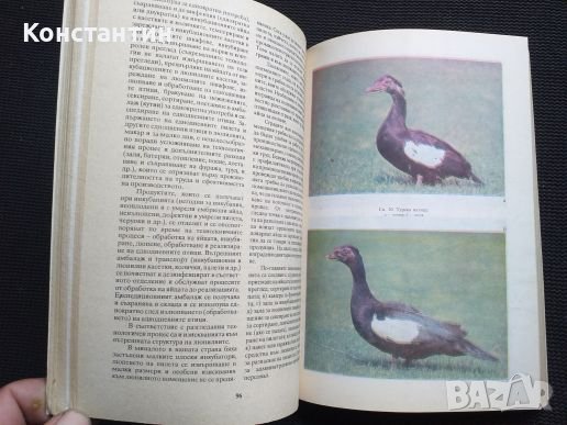 Птицевъдство, снимка 3 - Специализирана литература - 40822201