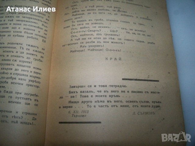 "Искам да живея" дневник на Димитър Сърмов, издание1939г., снимка 7 - Други - 41975706