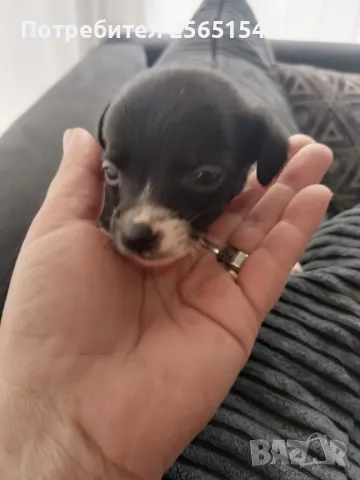 момченце, снимка 1