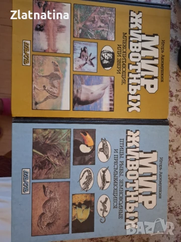 Мир животньiх