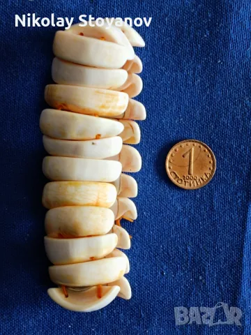 Гривна от седеф