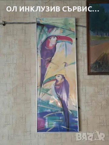 Арт принт „Двойка тукани“ (Couple of Toucans) от Алфред Гокел – С рамка