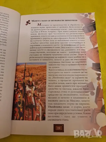 Наслада от шоколада - Никол Швайбер, 112 стр., снимка 5 - Други - 47552280