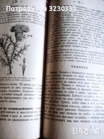 "Св. история"И Р.Блъсков 1895г.+Ботаника, снимка 7 - Антикварни и старинни предмети - 40739785
