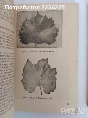 ЛОТ Лозарство, снимка 4 - Специализирана литература - 51325237