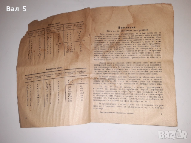 Рядък илюстрован разговорник , речник Царство Б- я, снимка 3 - Специализирана литература - 53664709