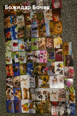 Календарчета- Футбол, Балкан, Животни , снимка 5 - Колекции - 53294962