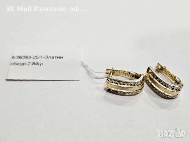 Златни обеци 2.84гр 06293-25