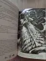 Книга-Игра на Английски Език - Rider of the Black Sun, снимка 5