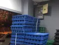 Сини и зелени скари за птицеферми, първо качество., снимка 1