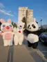 Панда , panda варна парти аниматор , снимка 3