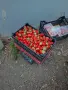 Пресни,вкусни ягоди, снимка 2