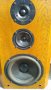 Тонколони T+A Elektroakustik Spectrum ADL P II, снимка 9