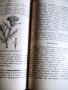 "Св. история"И Р.Блъсков 1895г.+Ботаника, снимка 7