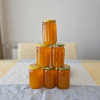 Домашен пчелен мед, снимка 1 - Пчелни продукти - 42534851