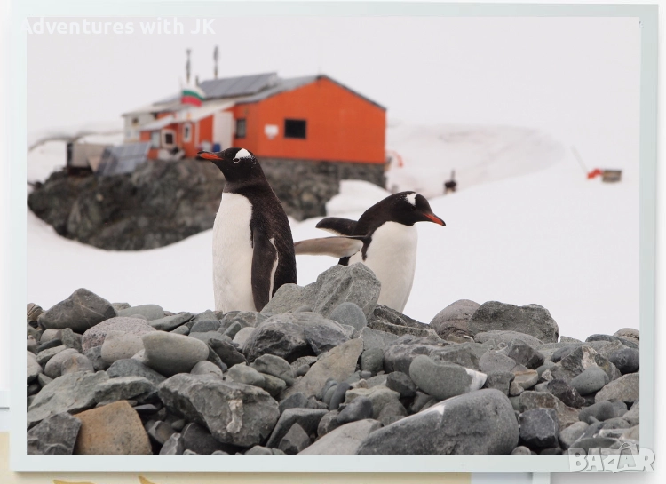 Авторски фотопринт "Ин и Ян" в бяла рамка от MDF с размер 50х70 см, снимка 1