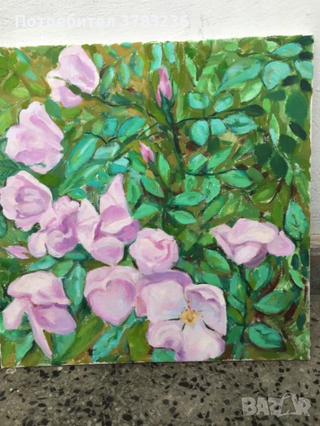 картини с маслени бои, снимка 1