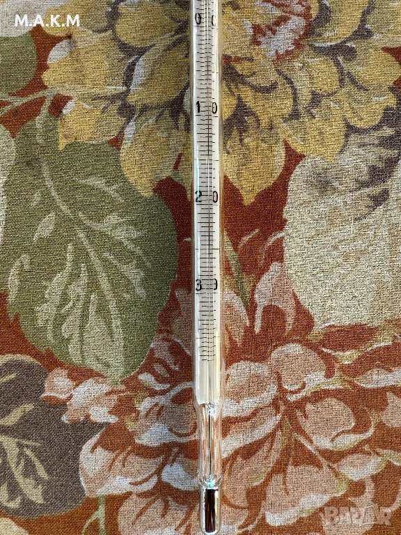 Метеорологичен термометър, снимка 1