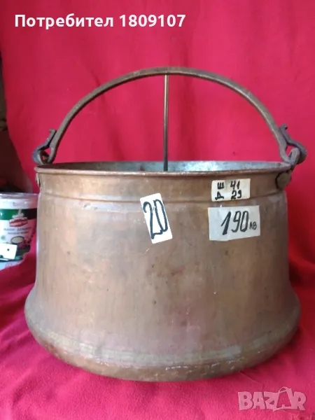 Дебелостенен меден казан , снимка 1